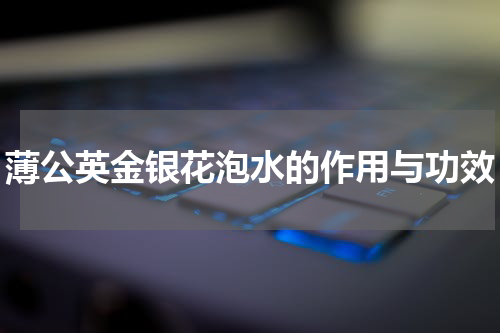 薄公英金银花泡水的作用与功效