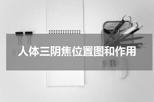 人体三阴焦位置图和作用