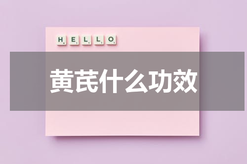 黄芪什么功效