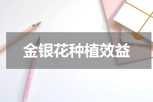 金银花种植效益