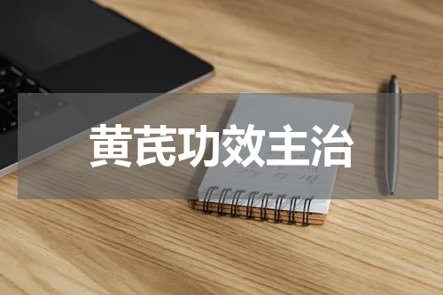 黄芪功效主治