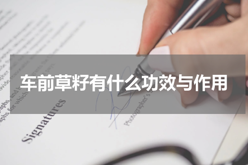 车前草籽有什么功效与作用