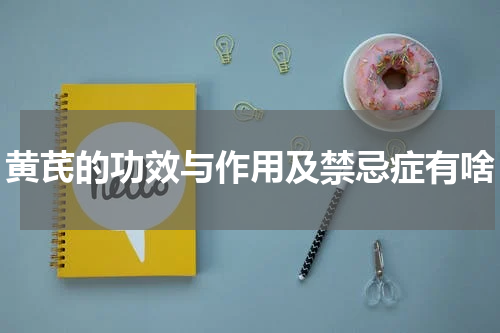 黄芪的功效与作用及禁忌症有啥