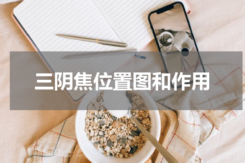 三阴焦位置图和作用