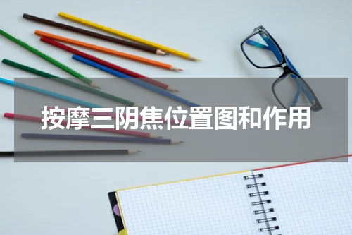 按摩三阴焦位置图和作用