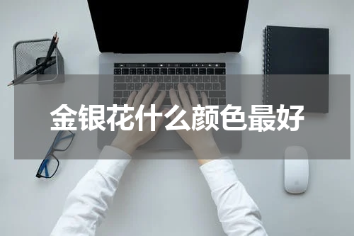 金银花什么颜色最好