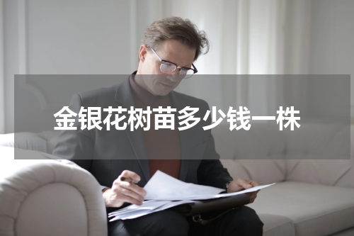 金银花树苗多少钱一株