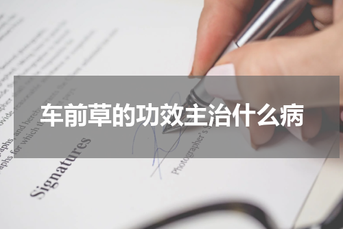 车前草的功效主治什么病
