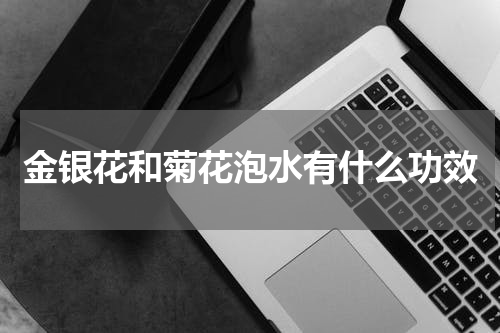 金银花和菊花泡水有什么功效