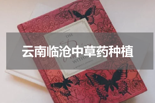云南临沧中草药种植