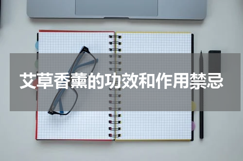 艾草香薰的功效和作用禁忌