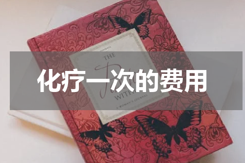 化疗一次的费用