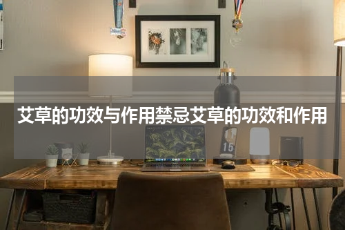 艾草的功效与作用禁忌艾草的功效和作用