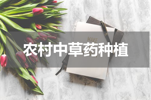 农村中草药种植