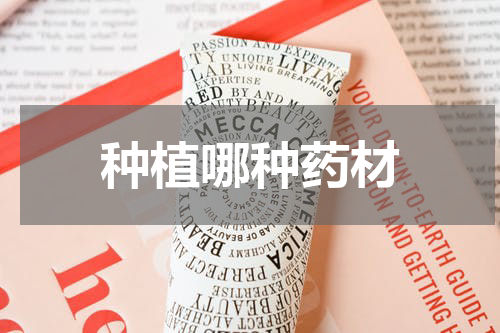种植哪种药材