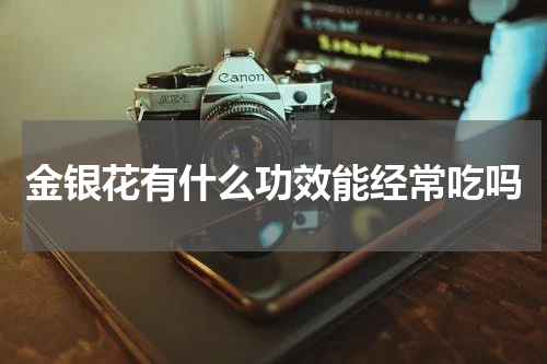 金银花有什么功效能经常吃吗