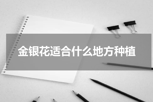 金银花适合什么地方种植