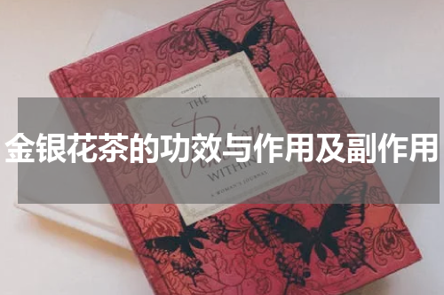 金银花茶的功效与作用及副作用