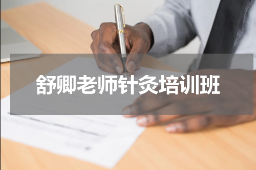 舒卿老师针灸培训班