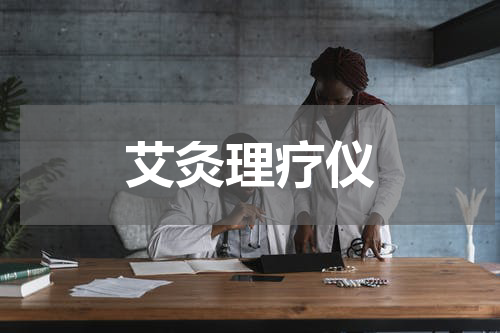 艾灸理疗仪