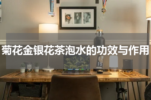菊花金银花茶泡水的功效与作用