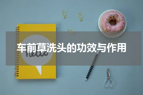 车前草洗头的功效与作用