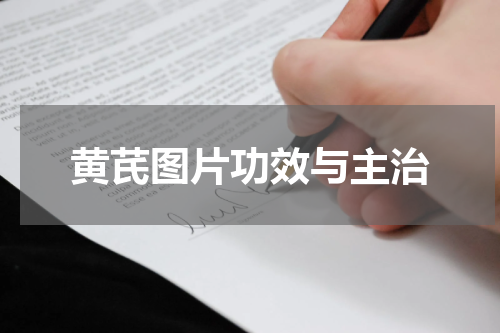 黄芪图片功效与主治