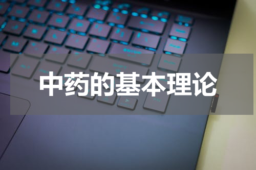 中药的基本理论