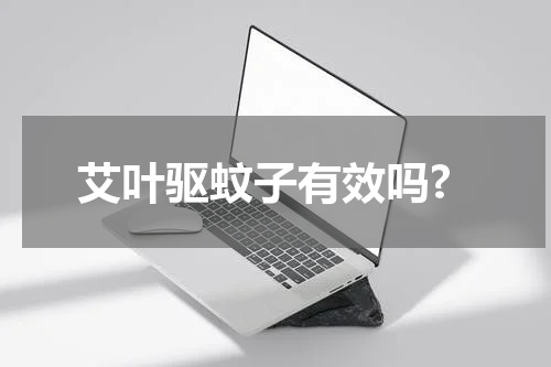 艾叶驱蚊子有效吗?