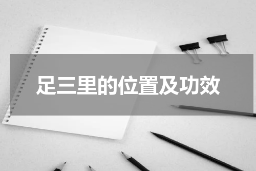 足三里的位置及功效