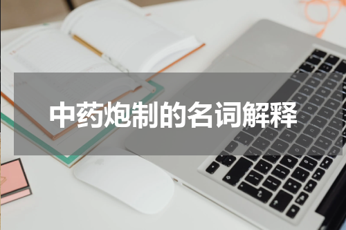 中药炮制的名词解释