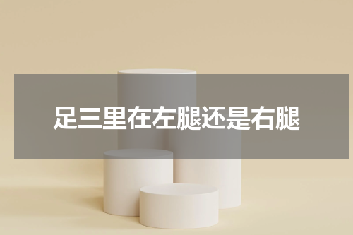 足三里在左腿还是右腿