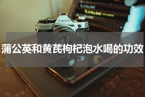 蒲公英和黄芪枸杞泡水喝的功效