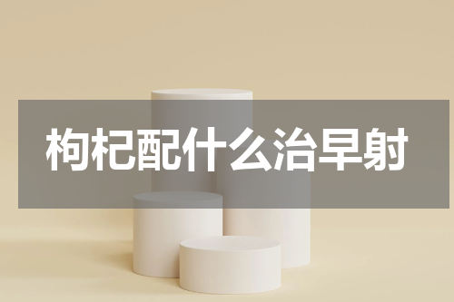 枸杞配什么治早射