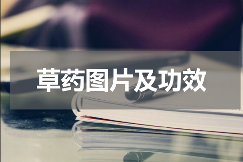 草药图片及功效