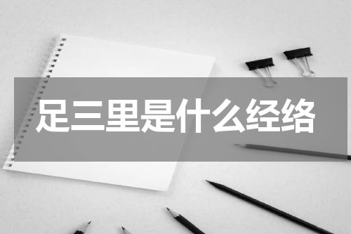 足三里是什么经络