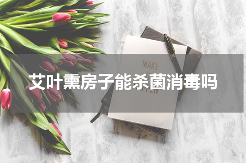 艾叶熏房子能杀菌消毒吗