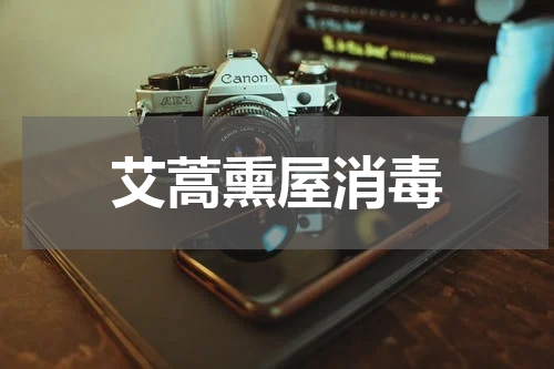 艾蒿熏屋消毒