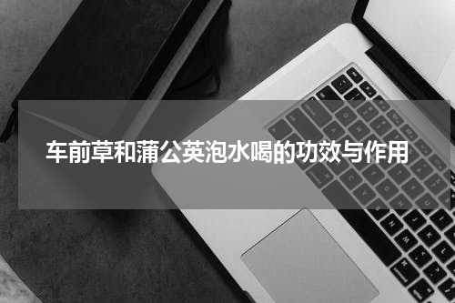 车前草和蒲公英泡水喝的功效与作用