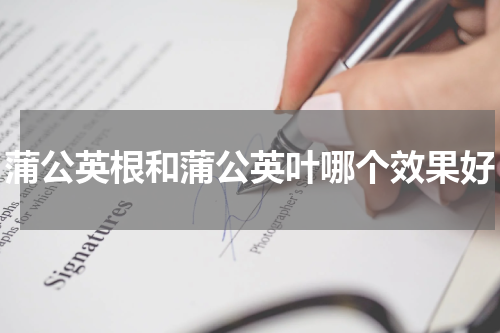 蒲公英根和蒲公英叶哪个效果好