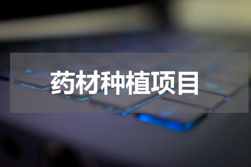 药材种植项目