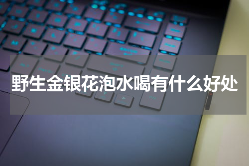 野生金银花泡水喝有什么好处