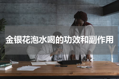 金银花泡水喝的功效和副作用