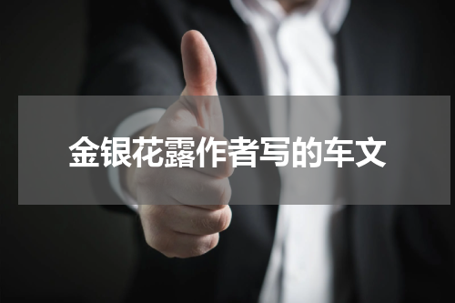 金银花露作者写的车文