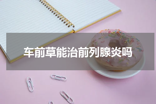 车前草能治前列腺炎吗
