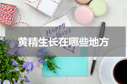 黄精生长在哪些地方