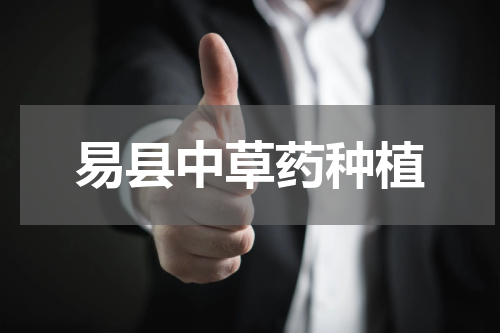 易县中草药种植