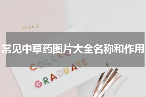常见中草药图片大全名称和作用