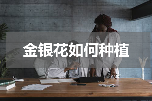金银花如何种植
