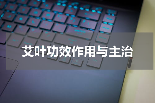 艾叶功效作用与主治